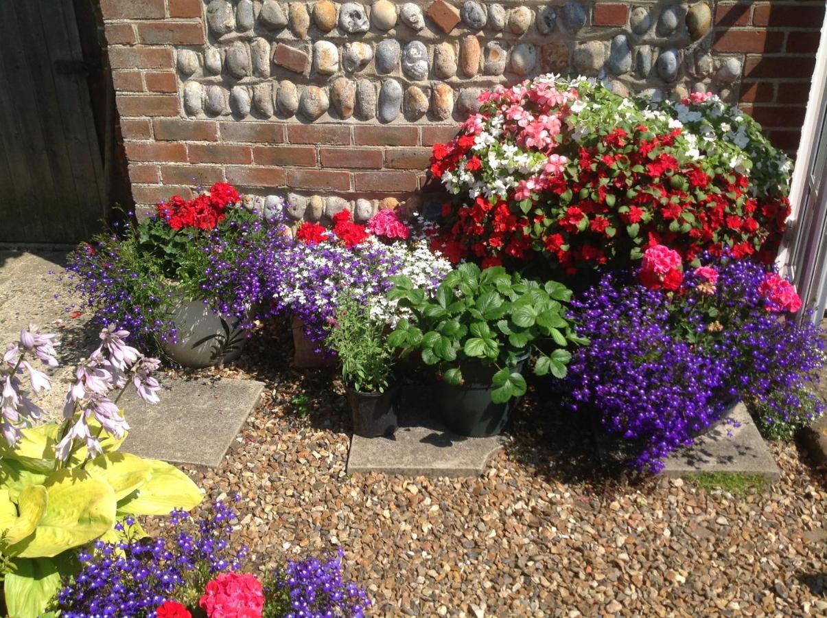 Primrose Cottage Walcott  Dış mekan fotoğraf